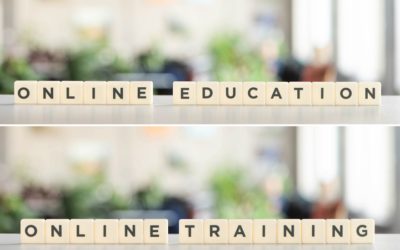 Erfahrungsbericht Online-Training