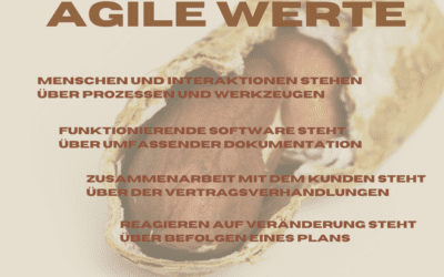 Agility in the Nutshell – Agile Werte