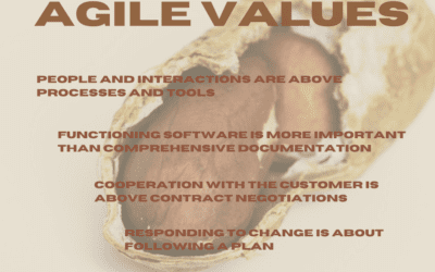 Agility in the Nutshell – Agile Values