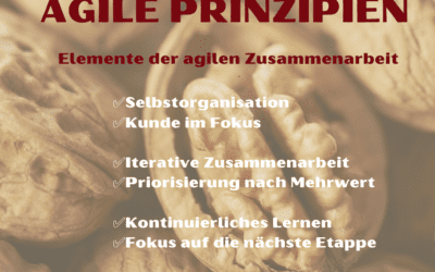 Agility in the Nutshell – Agile Prinzipien