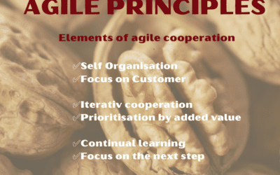 Agility in the Nutshell – agile principles