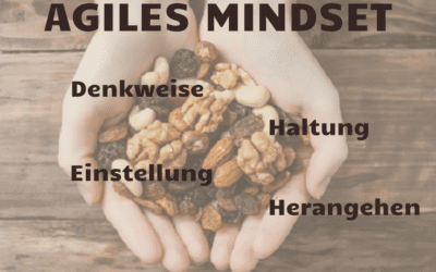 Agility in the Nutshell III – Agiles Mindset