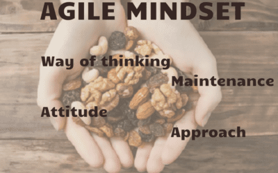 Agility in the Nutshell III – Agile Mindset