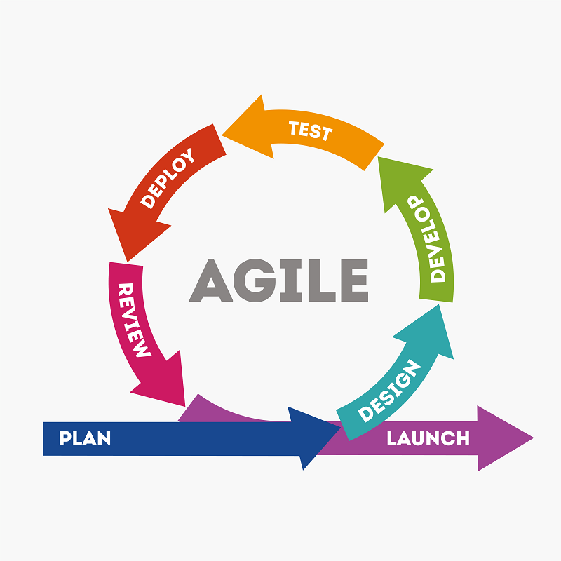 Book review - On the way to an agile organisation - Coverdale Austria